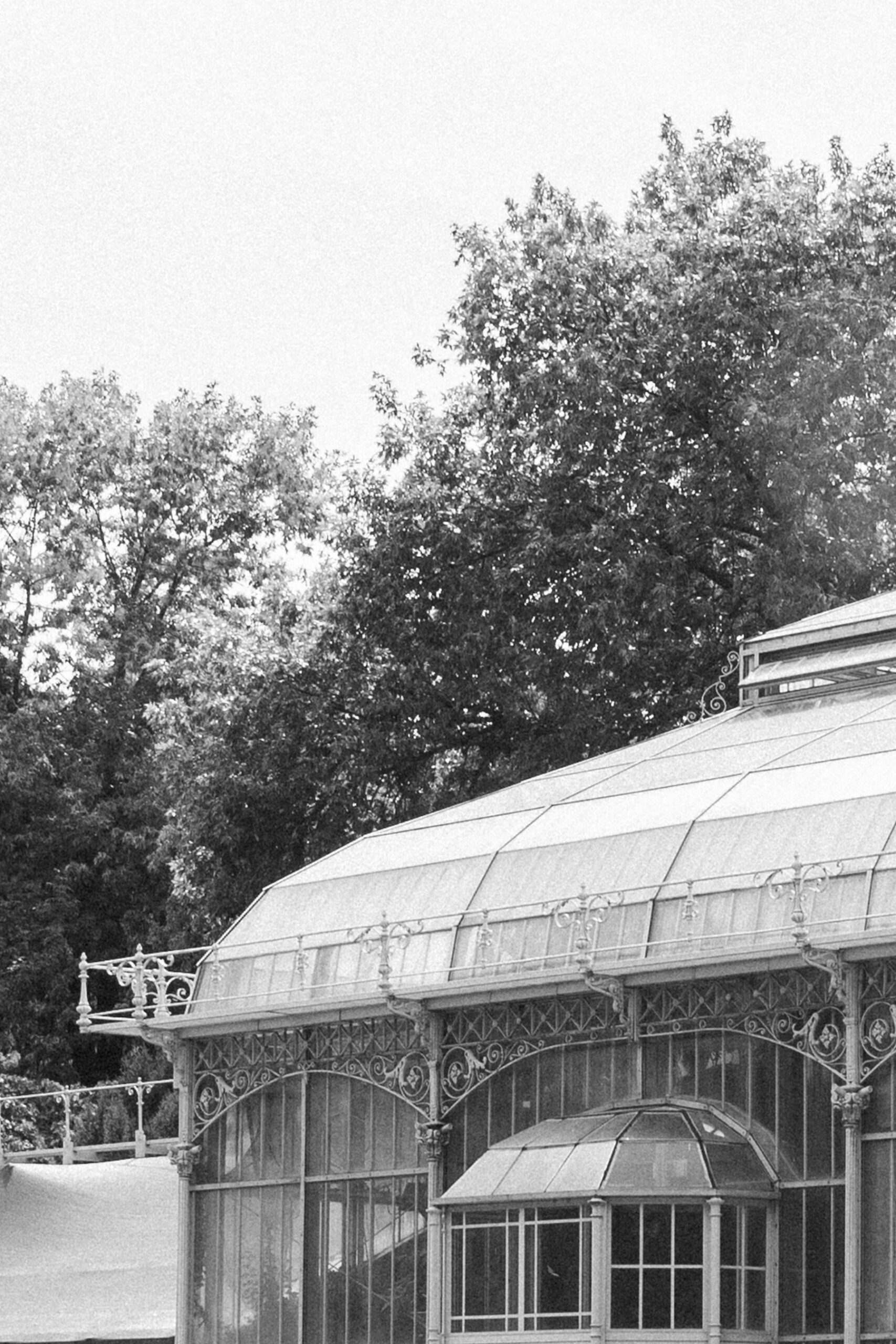 Planning a Surprise Proposal? Why You Need an Engagement Photographer in Belgrade 2 Jevremovac Botanical Garden in Belgrade, Serbia - black and white photo of the glasshouse roof