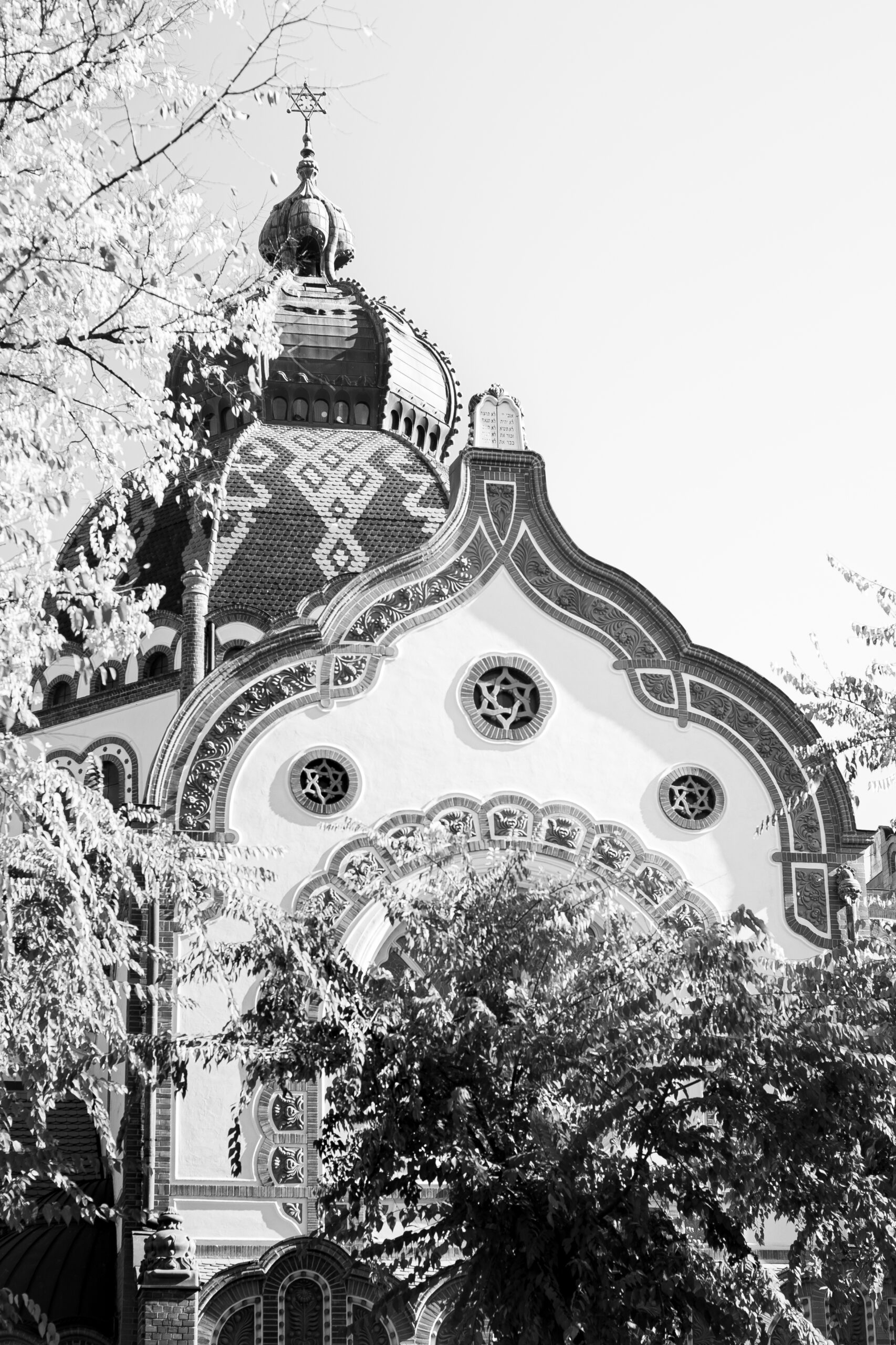 Subotica Sinagogue photographed from the park