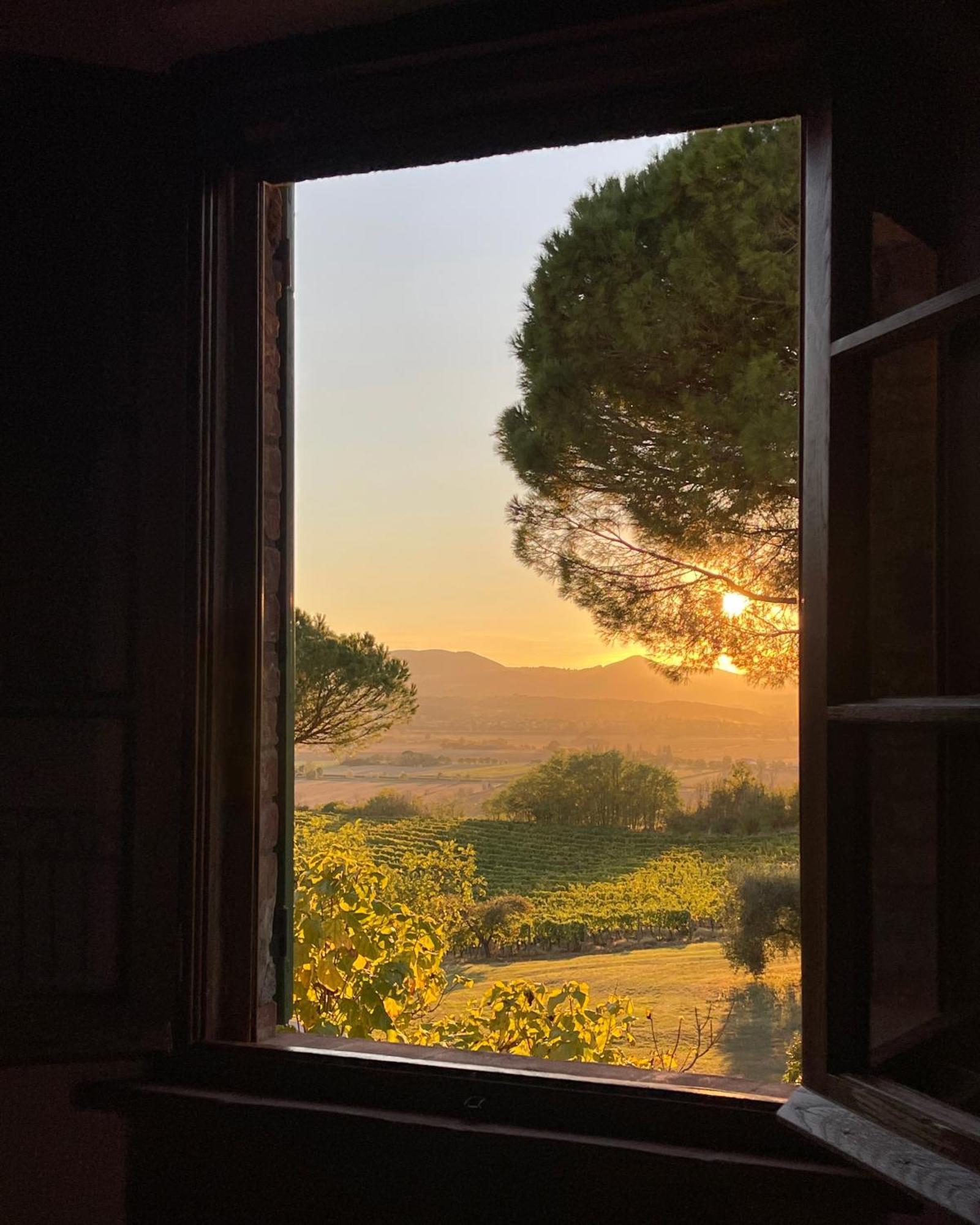 MIJO WEDDINGS blog _ villa cozzano sunset views