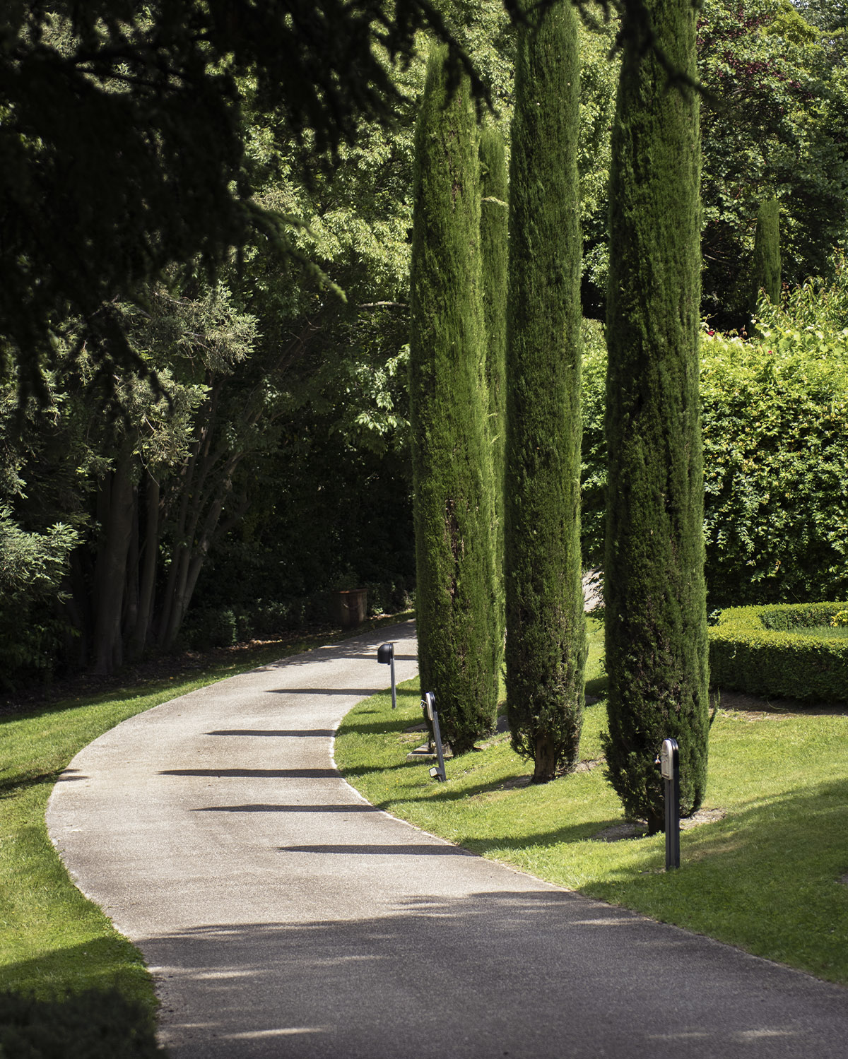 Along a tree-lined path in a Provençal estate garden, tall slender cypress trees cast soft shadows over a winding walkway, captured in a serene, lifestyle editorial style.