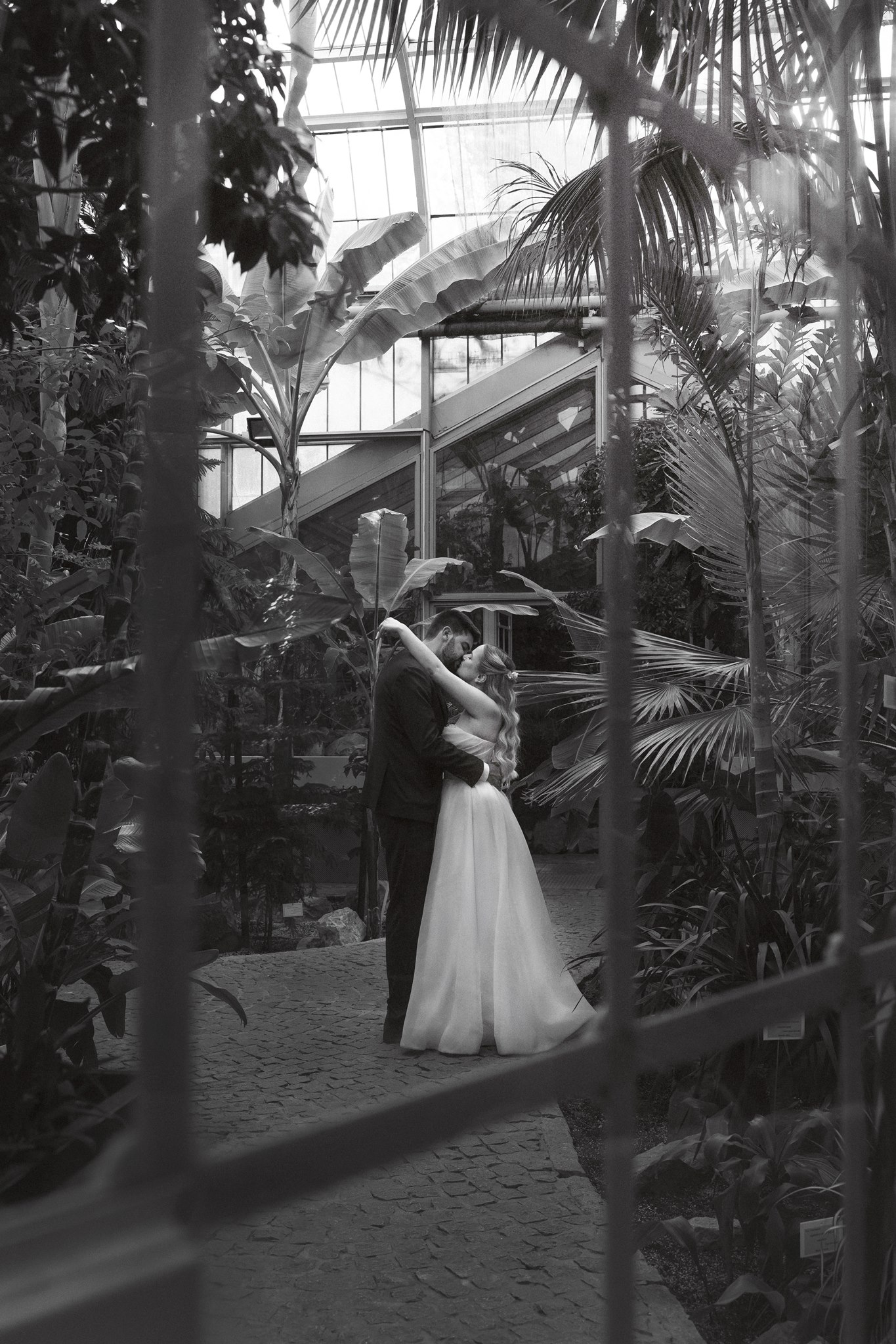 MIJO WEDDINGS 72 Inside the Belgrade Botanical Garden greenhouse, a newlywed couple embrace and kiss among tropical plants and glass architecture, photographed in a moody black-and-white editorial style framed through the conservatory structure.