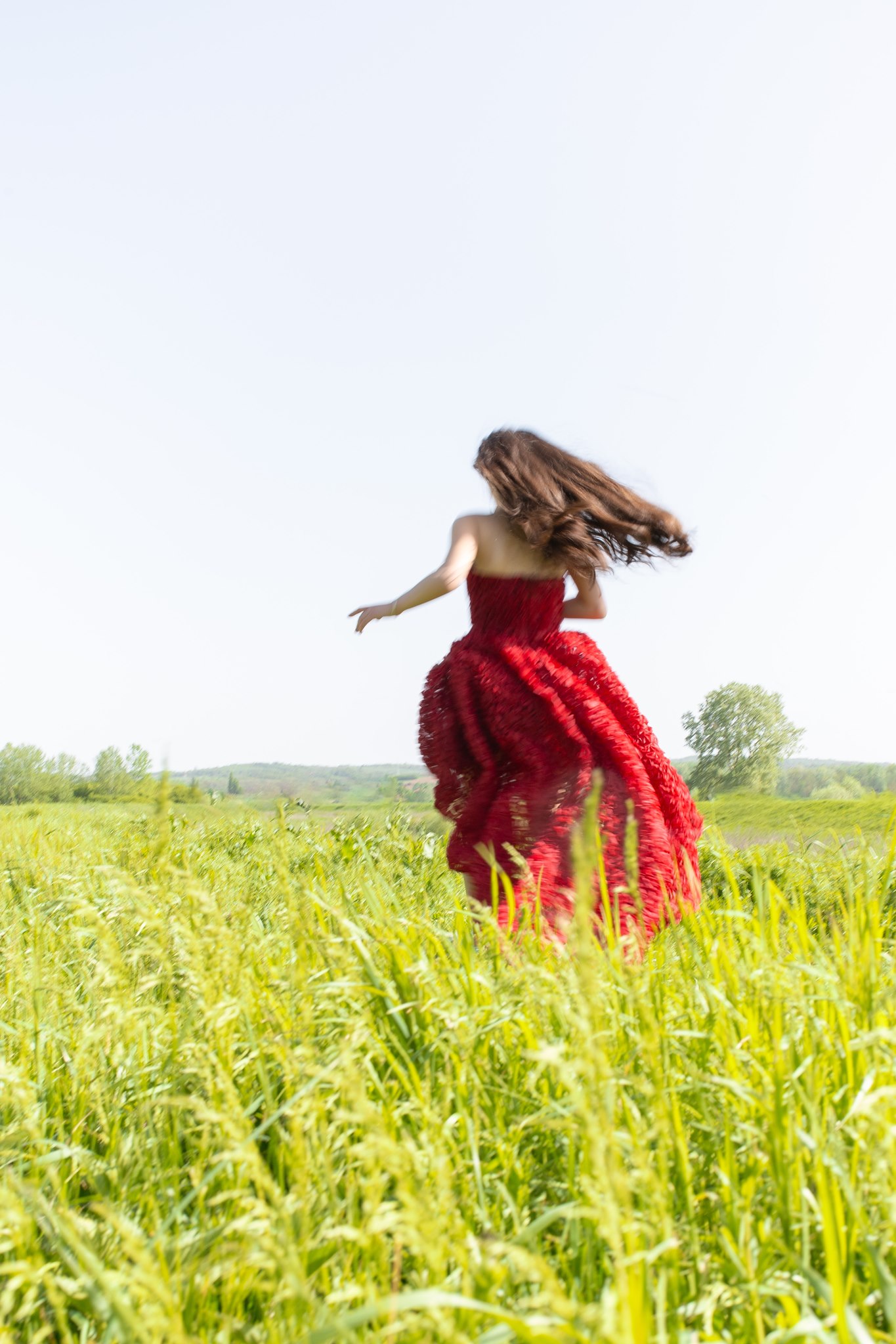 MIJO WEDDINGS 34 In a sunlit meadow of tall green grass, a woman in a flowing red gown moves across the landscape in an editorial-style photograph that feels cinematic and free-spirited.