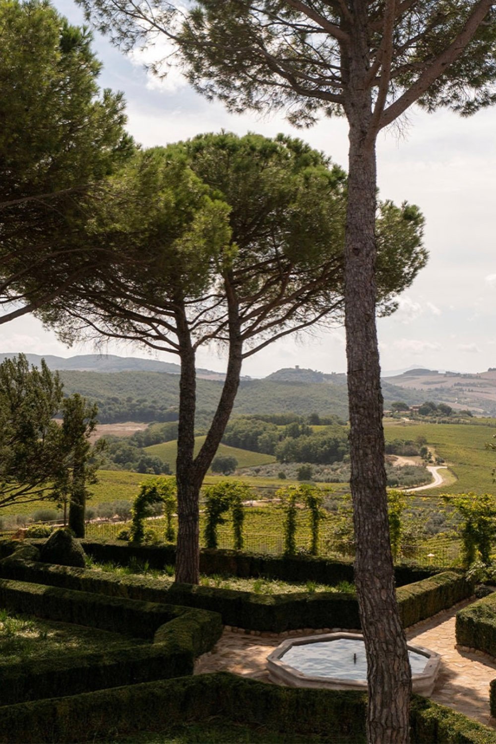 Casa Newton, Tuscany, Italy — a landscaped garden framed by tall pine trees overlooking vineyards and the Tuscan countryside, captured in a refined editorial style.